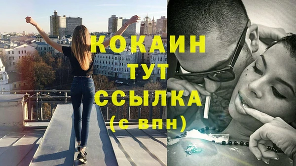 стаф Абинск
