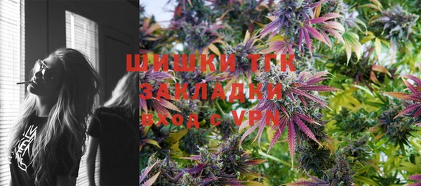 стаф Абинск