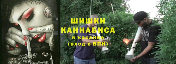 стаф Абинск