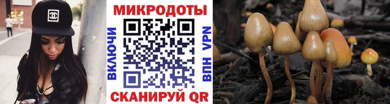 Галлюциногенные грибы Magic Shrooms  Купить где  Алдан 