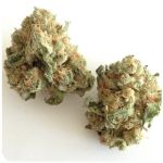 Шишки "White Widow"  (Белая вдова)  Гидропоника -  Бошка VHQ в Алдане